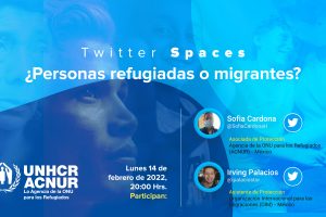 spaces_sofia cardona-02