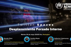 spaces_sofia cardona-08