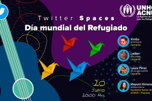 spaces_sofia cardona-09